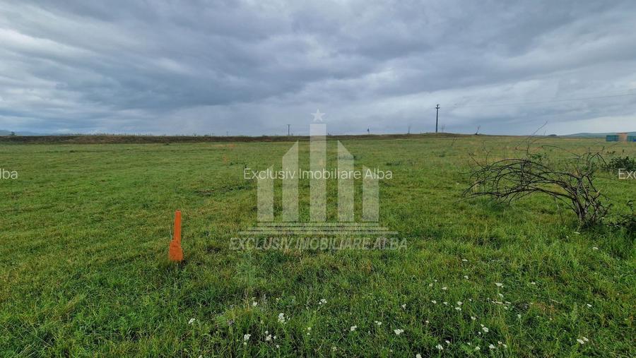 Teren intravilan | De vanzare | 450 mp | 14 ml deschidere | Partos - 3