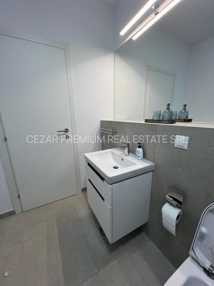 BANEASA JANDARMERIEI THE IVY APARTAMENT 2 CAMERE MOBILAT GRADINA 35 MP - 18