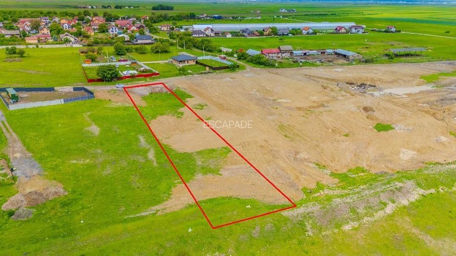 Teren intravilan 1450 mp – Carpiniș , Ideal pentru casă de locuit - 3