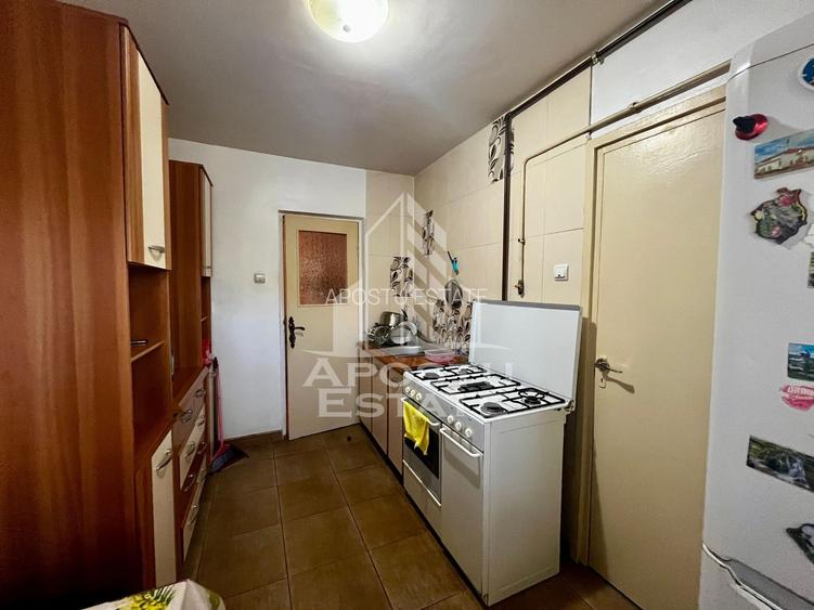 Apartament 4 camere de vanzare, zona Take Ionescu, Timisoara - 13