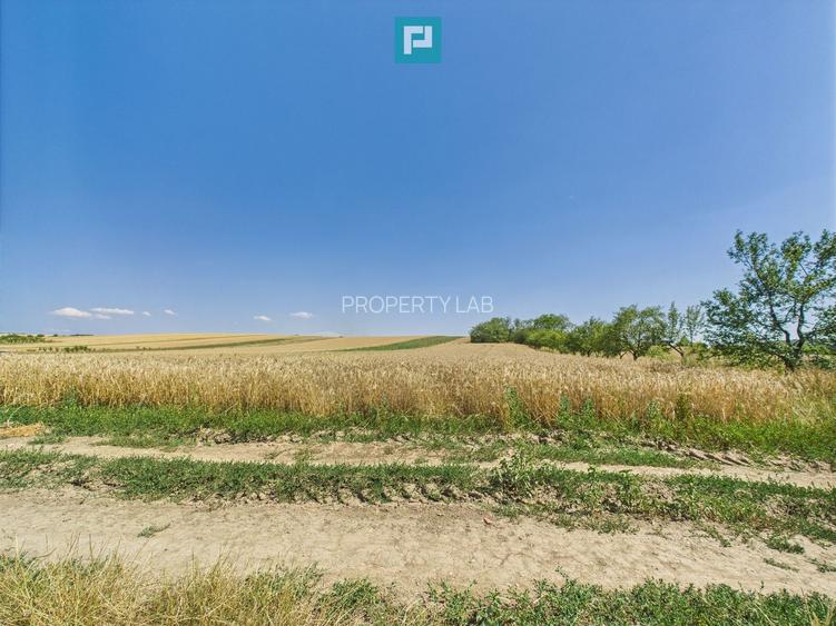 Teren intravilan + extravilan în Remetea Mică - 7