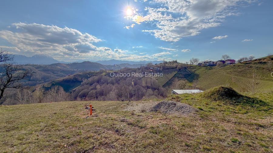 Refugiu de poveste în inima naturii | 12.000 mp în Holbav | Proiect început - 15