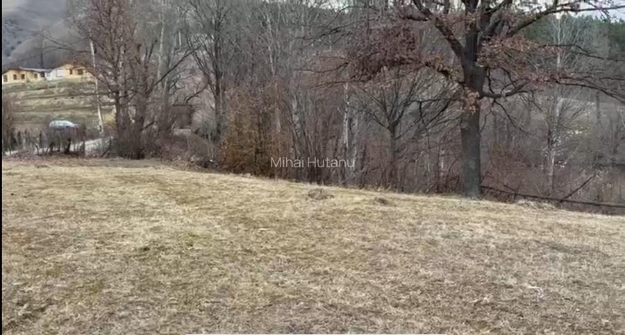 TEREN CU VEDERE PANORAMICĂ LA TOACA ȘI LACUL BICAZ – BUHALNIȚA, NEAMȚ - 4