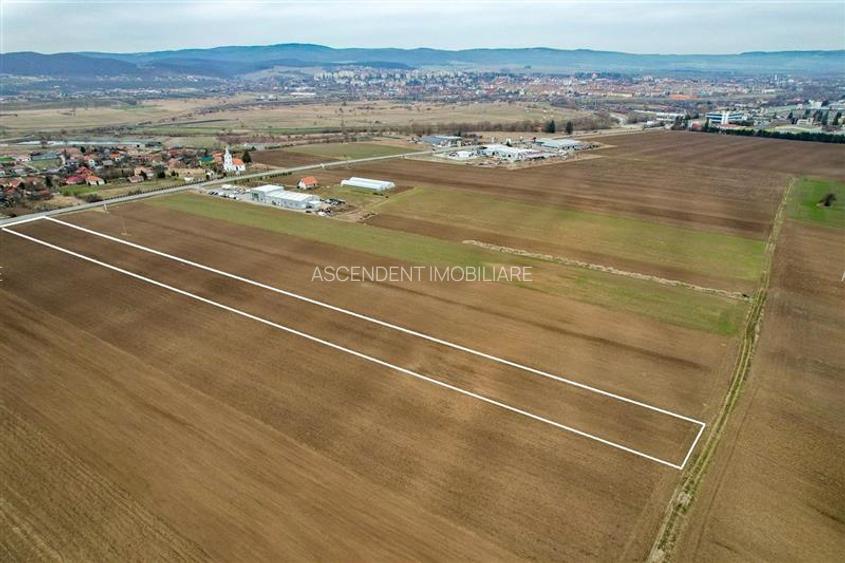 FILM! Teren intravilan 7.850 mp, Chilieni, Sfantu Gheorghe - 2