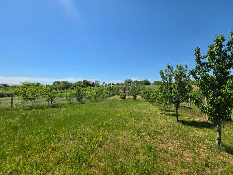 Teren cu livada perfect pentru CASA - 1.200 MP Sat Varlaam, Giurgiu - 5