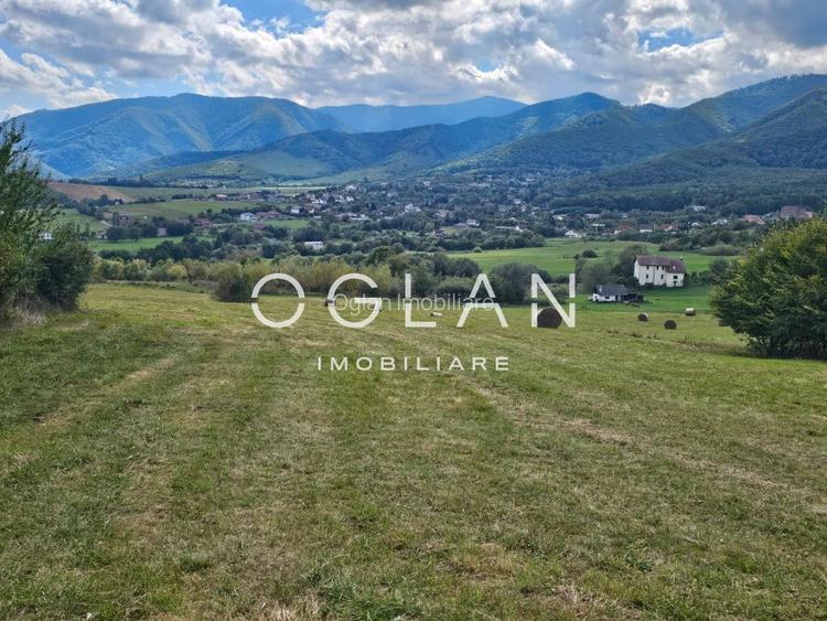 Teren Tocile (parcelabil) 3500 mp  - 5