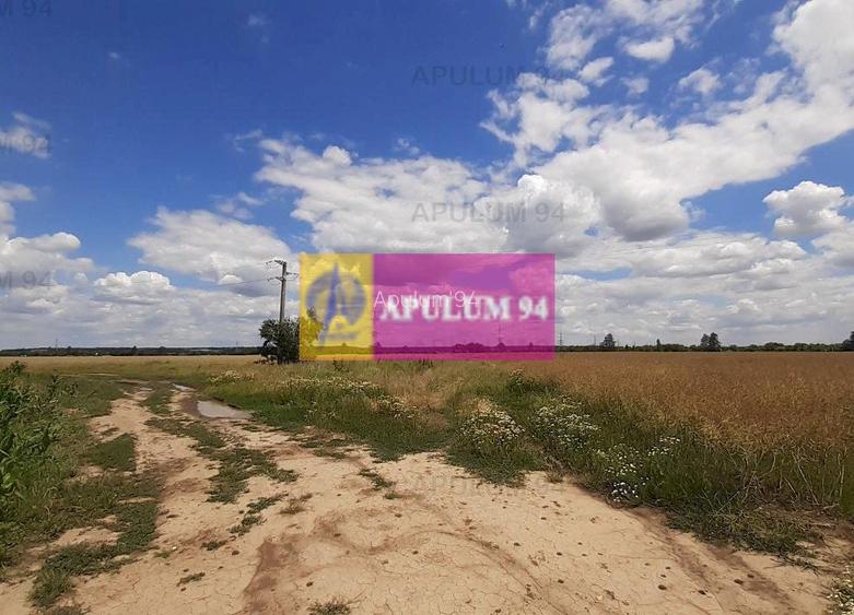 Teren 715mp în Snagov lângă Equestria - 48