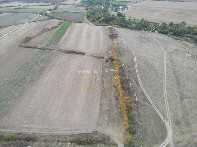 Teren arabil Intravilan 11600mp | LmP | Remetea Mare | COM 0% - 2