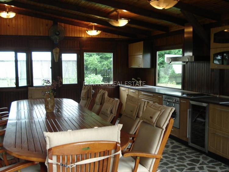 Campina Valea Doftanei Sotrile Paltinu - 20