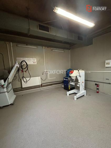 Hala industriala de inchiriat – productie/depozitare + birouri, zona Ronat - 7