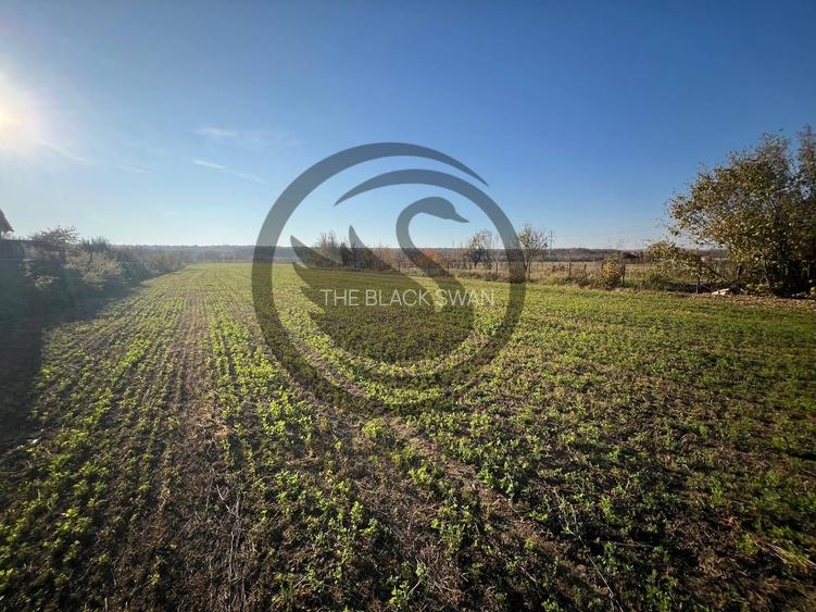 Teren intravilan de vanzare | 12.650 mp | Ghirdoveni, | Comision 0% - 4