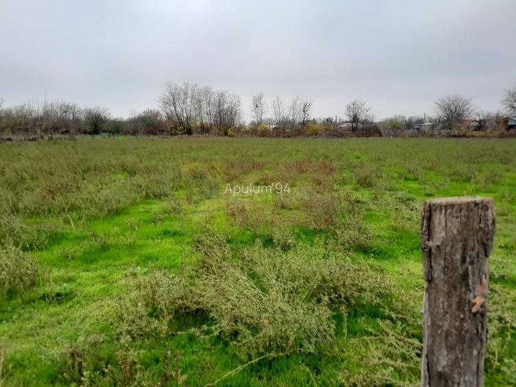 BARCANESTI -  casa +curte+teren 16k mp - 25