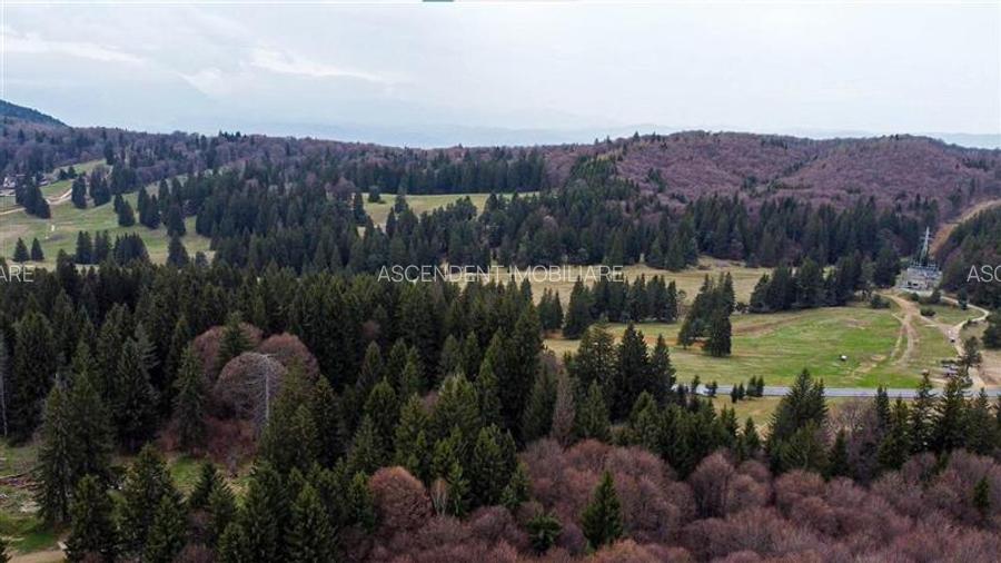 Teren cu potential:1.000 mp,proiect turistic/rezidential,Poiana Brasov - 5