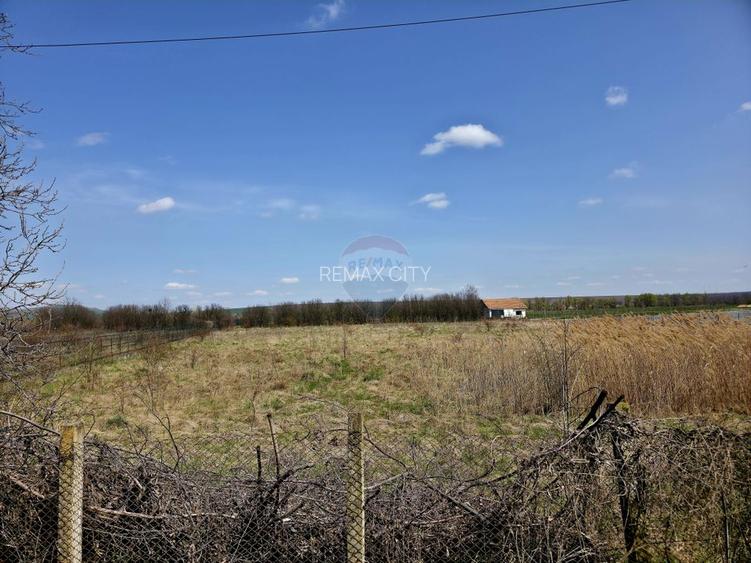 Teren 7,000mp Girov / deschidere 45 metri - 12