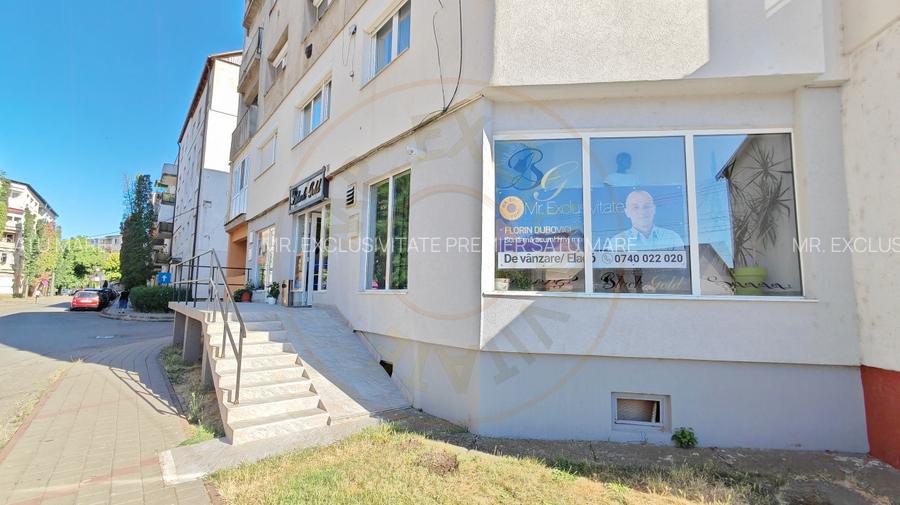 Spațiu Comercial cu Afacere la Cheie - Str. C. Coposu - Carei - 11
