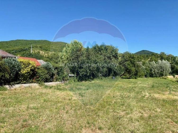 Teren 3,154mp Barsana / Intrarea principala - 3