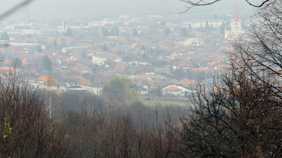 Teren spectaculos 3,5HA zona Cisnadioara - 4