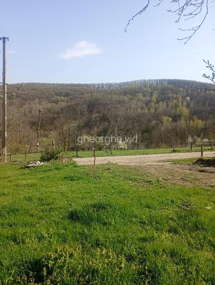 Vând terenuri,intravilane și extravilane !!! - 3