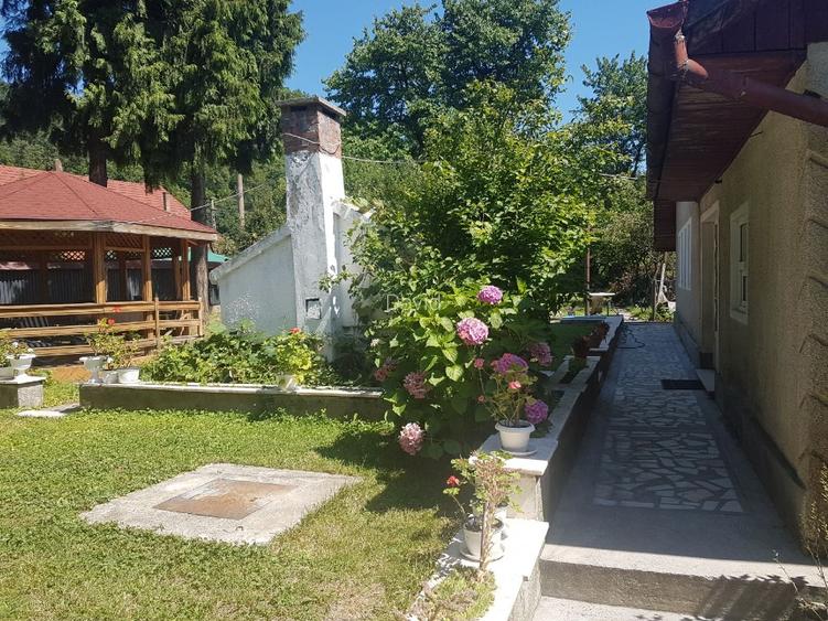 vila 7 camere, 2 garaje si casa 2 camere, orașul vechi Baia Mare - 6