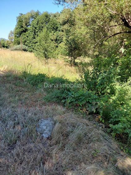 TEREN INTRAVILAN ÎN MARGA-LA DN68 JUD.CARAȘ-SEVERIN - 5