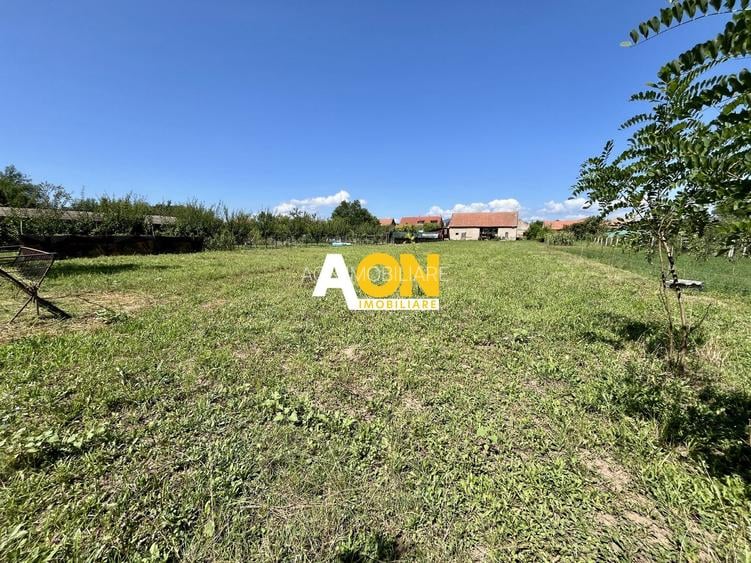 Teren Împrejmuit, 3514mp, Asfalt, Ciugud - 2