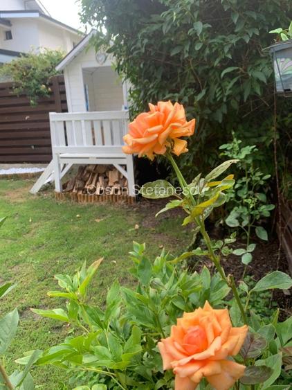 Vila superba, direct de la proprietar - 9