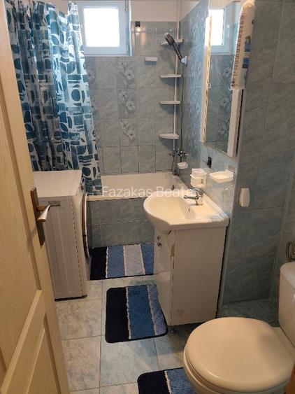 Apartament 3 cam 56mp+curte si gradina 503mp + parcare acoperita dubla - 6