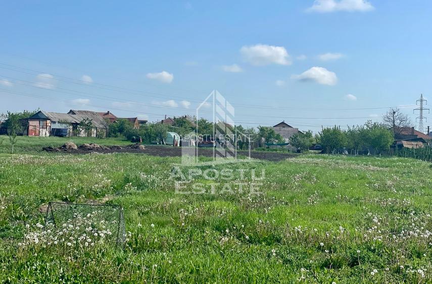 Casa individuala cu curte individuala si gradina - Zona Gai - 16