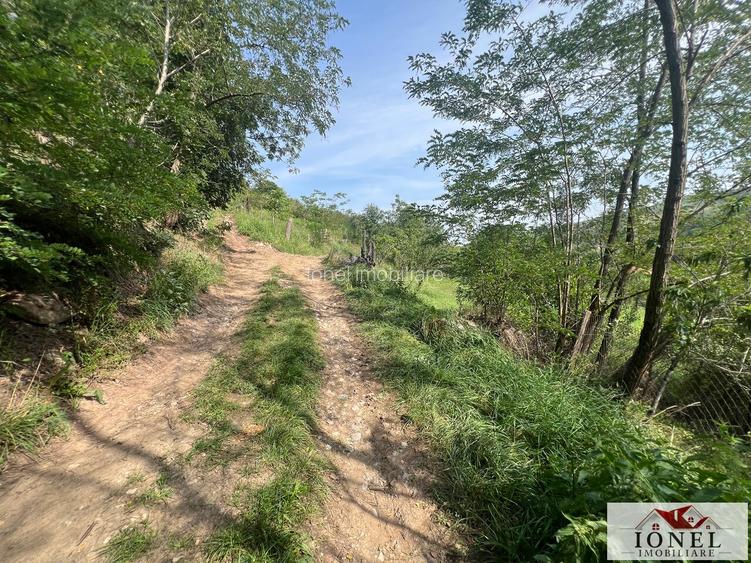 Teren intravilan de vanzare in Metes - Ampoita - 6