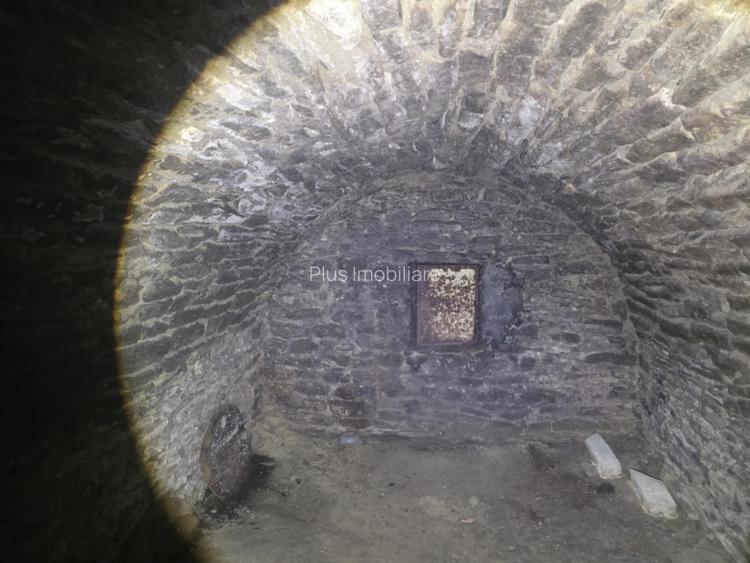 Casa  moderna mobilata cu beci 165mp +3000mp teren Cotnari - 37