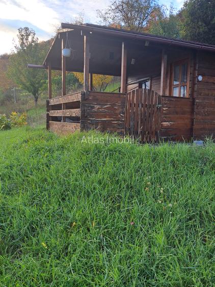 VILA NOUA,MODERNA CU 2100 METRI PATRATI TEREN-VIISOARA - 23