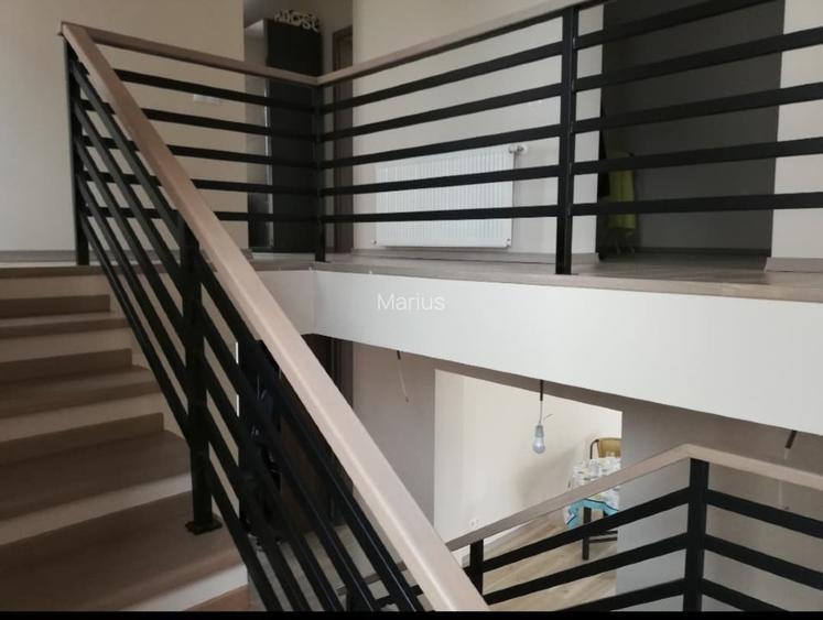 ALBERT-DIRECT PROPRIETAR(exclus agentii imob.)-Vila individuala mobilata - 3