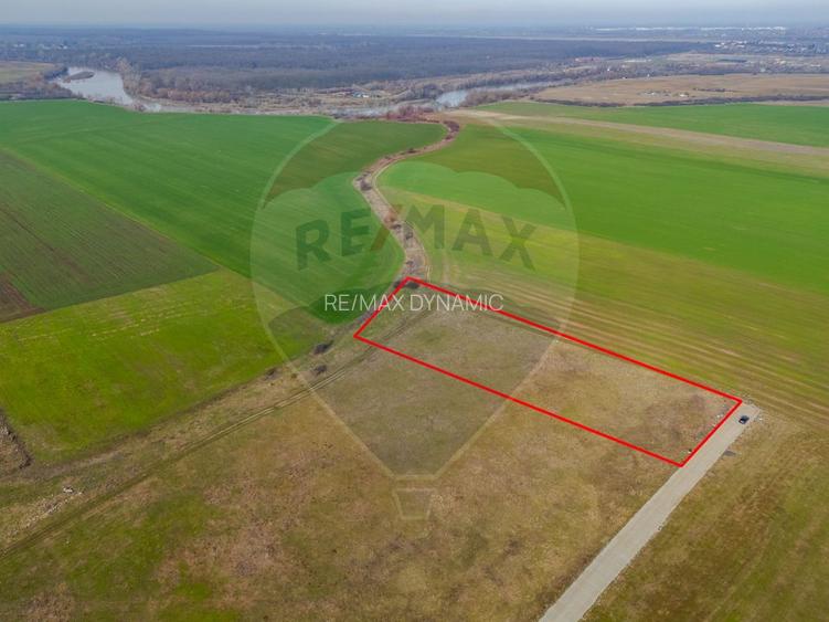 Teren intravilan 10.000 mp în Zona Industrială Sud Arad - 9