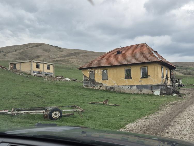 Stejeris are un teren de 3388000 de metri pătrați, din care 5000 de metri pătraț - 2