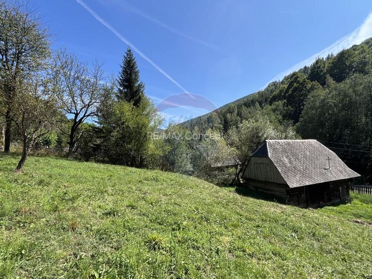 Teren de vanzare Rachitele | Investitie | Comision 0% - 3