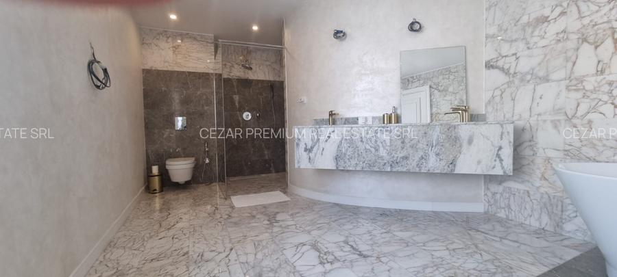 PIPERA IANCU NICOLAE VILA LUX RENOVATA COMPLET 2022 - 44