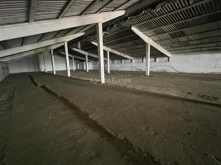 Hale de inchiriat localitatea M. Kogalniceanu Tulcea - 3