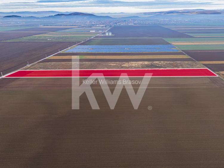 Teren exceptional pentru investitii industriale langa Brasov - 2