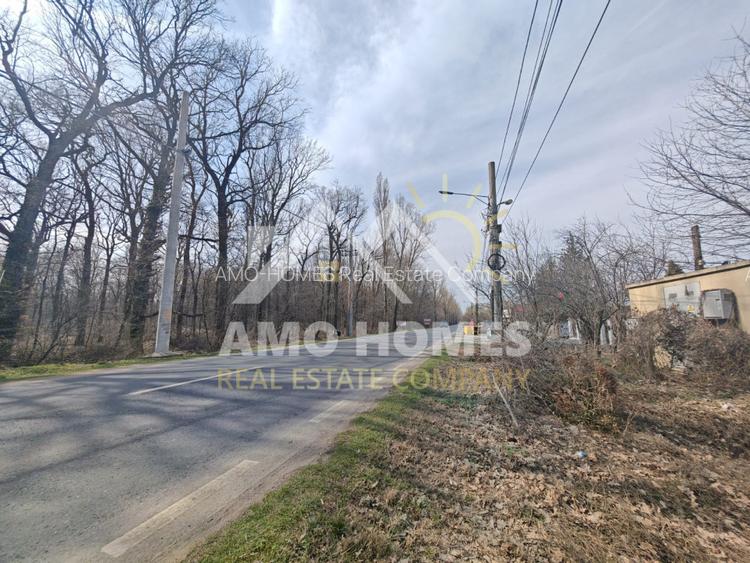 OPORTUNITATE -Teren de Vis la Marginea Pădurii – 5000 mp în Ciorogârla - 7