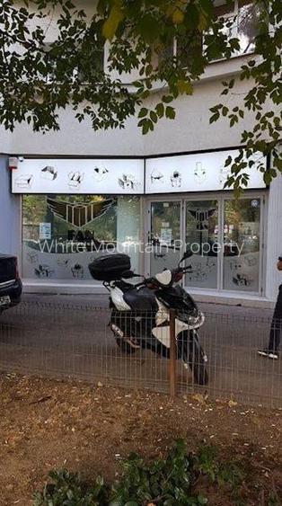 Ion Mihalache, spatiu comercial 240 mp - 7