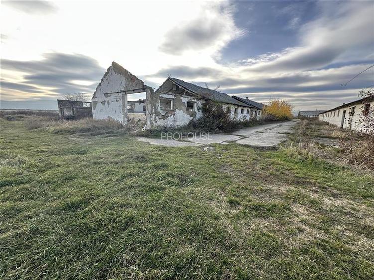 Platforma industriala 27.000mp - Racova - Buhusi - 11