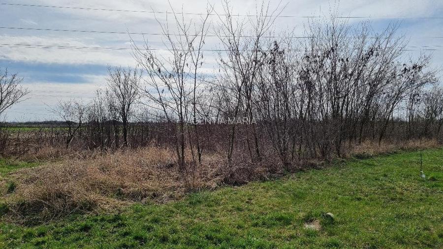 Teren intravilan in Paulesti 2700 mp 33000 Euro - 3