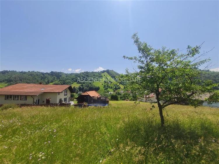 FILM! 1.450 mp intravilan, la DN, incantare peisagistica, Bran, Moieciu, Brasov - 10