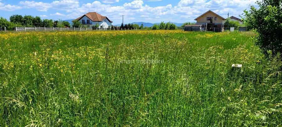 Teren Intravilan Podul Olt - 2