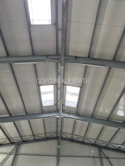 Hala 1000 mp de inchiriat Drumul Intre Tarlale- Oxigenului - 7