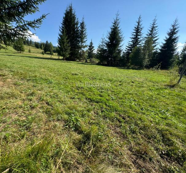 Vanzare 16700 - 9 loturi - Plaiul Sarului la sosea- microdezvoltare langa oras - 19