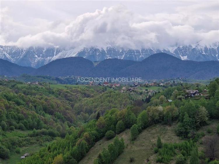 7.000 mp, pozitie spectaculoasa, fara vecini, Fundatica, Brasov - 28