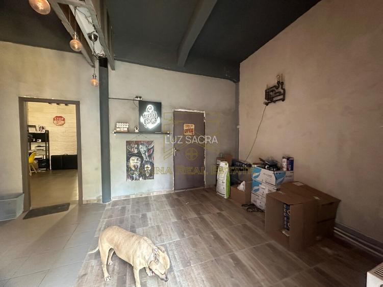 Vanzare - Proprietate cu Potential-Locuinta si Business - 39