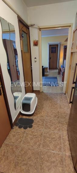 Camil Ressu- Ambrozie  vanzare ap. 3 cam bloc 4 etaje - 4