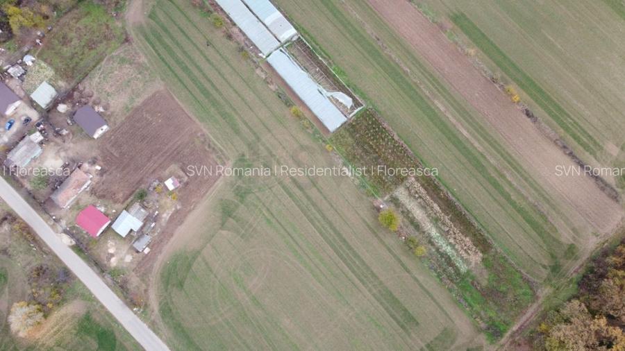 REL4001127 Teren situat langa Padure l Balta Neagra - 7